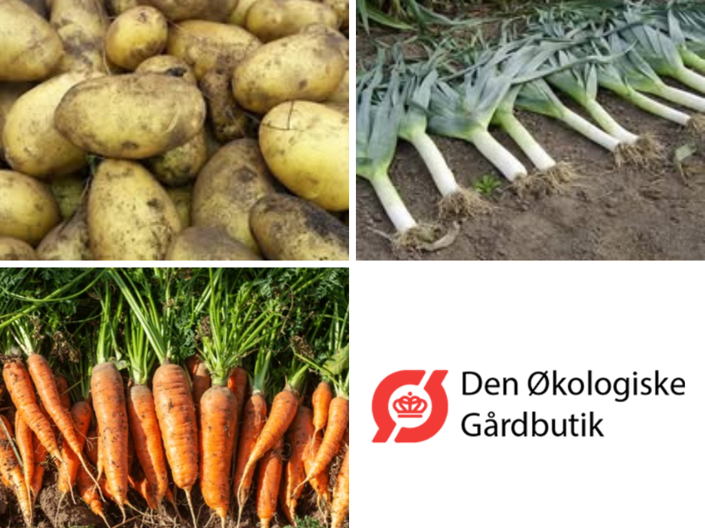Vil du arbejde med økologiske grøntsager i det fri?