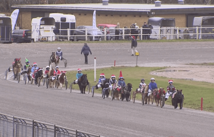 100 ponyer til løbsdag på Billund Trav