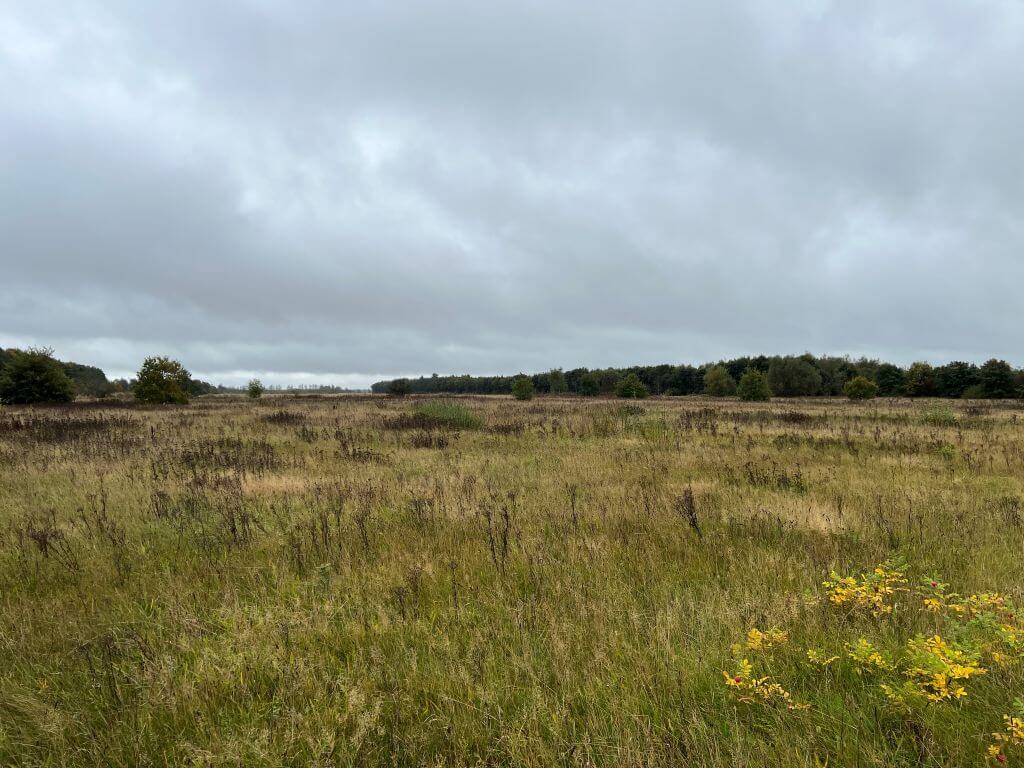 Stor byggegrund i Grindsted sat til salg til nyt boligprojekt